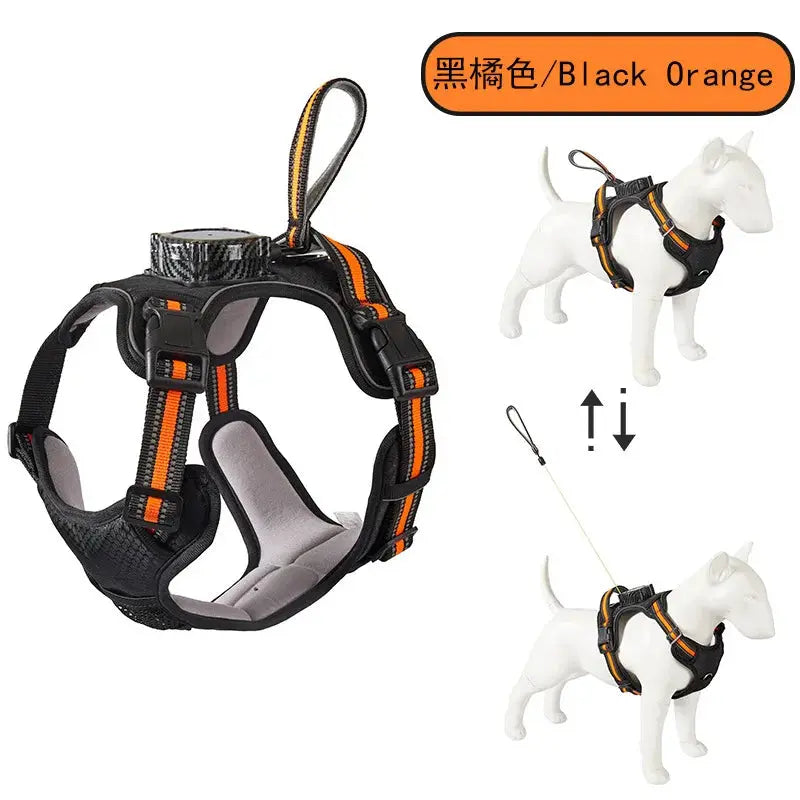 Pawizo: Retractable Dog Leash | Explosion-Proof & Retractable