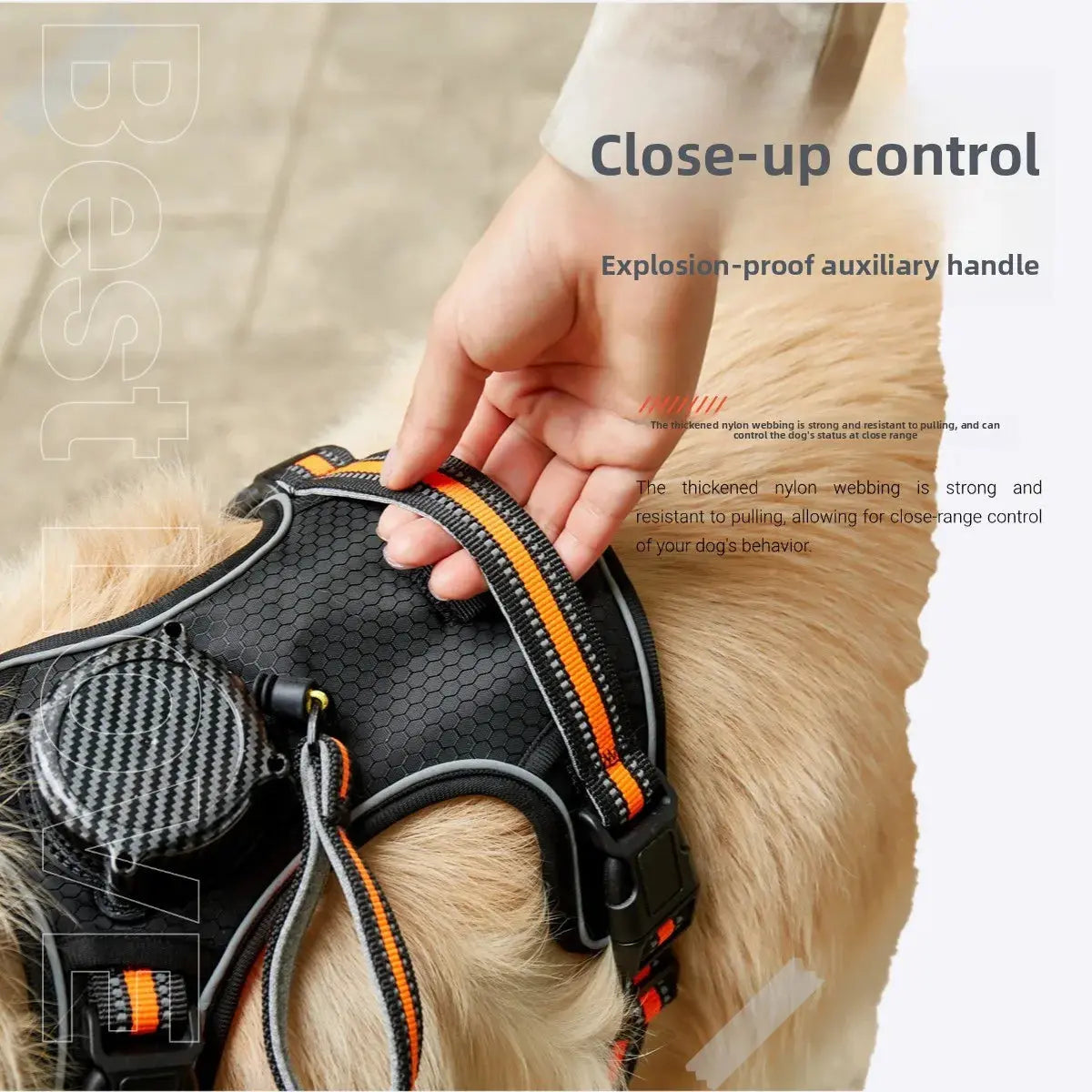 Pawizo: Retractable Dog Leash | Explosion-Proof & Retractable