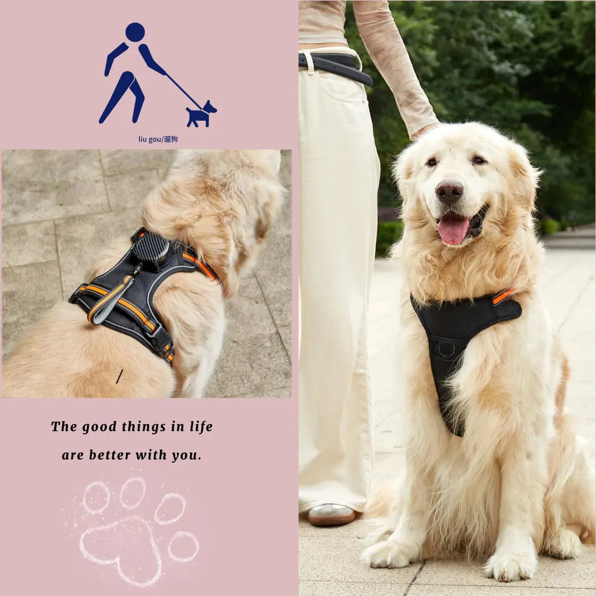 Pawizo: Retractable Dog Leash | Explosion-Proof & Retractable