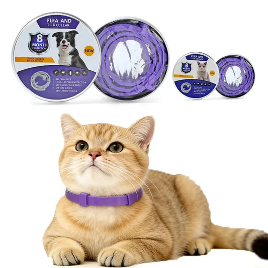 Effective Pet Flea Collars Cat & Dog Pawizo