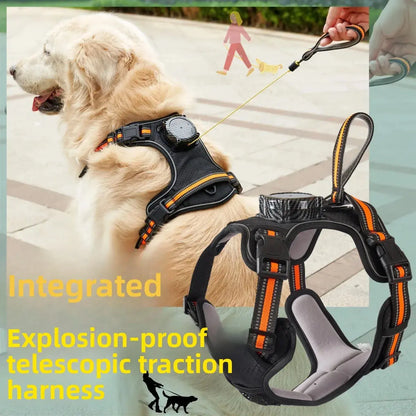 Pawizo: Retractable Dog Leash | Explosion-Proof & Retractable