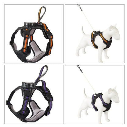Pawizo: Retractable Dog Leash | Explosion-Proof & Retractablev